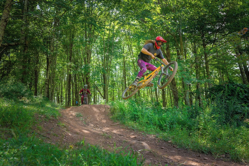 Allegheny Springs 50/61