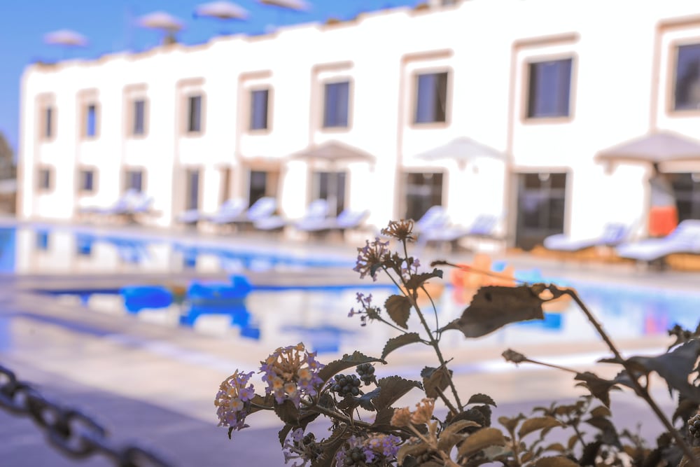 Haile Resort Gondar 51/55