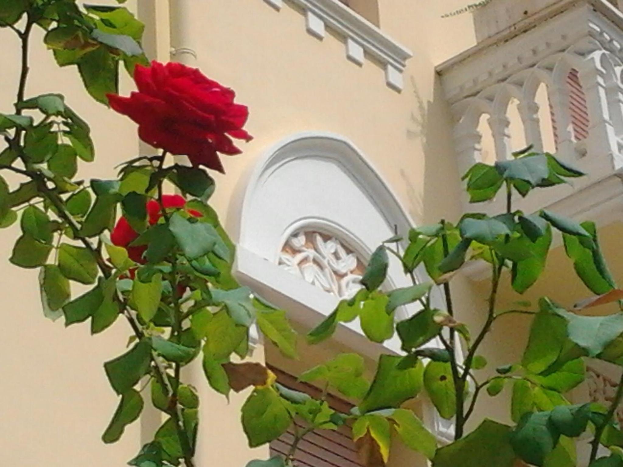 RELAIS LE FELCI HOTEL 14/55