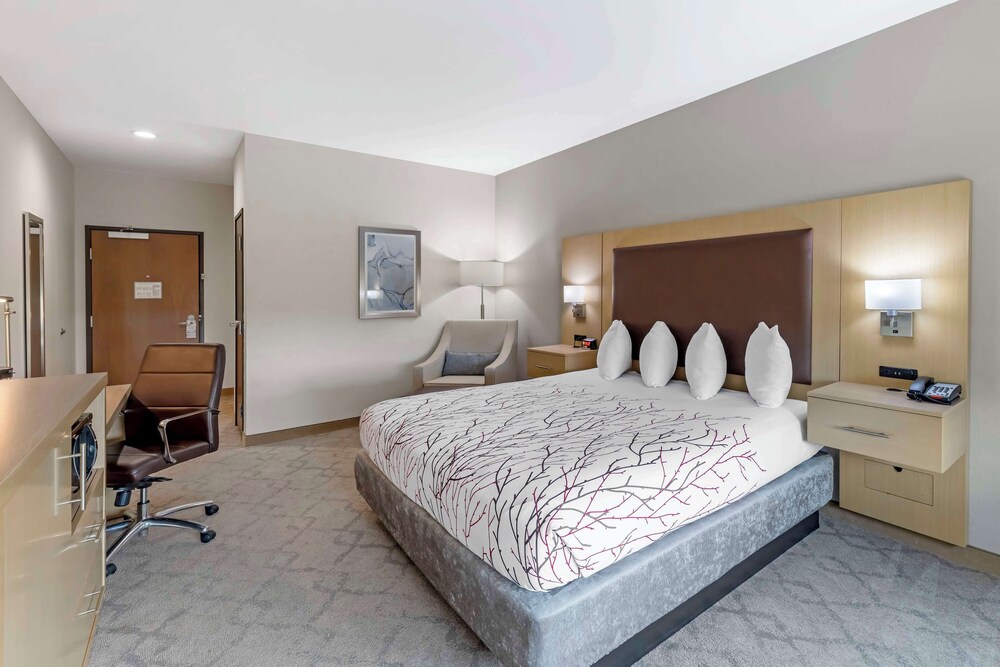 Standard, King Bed