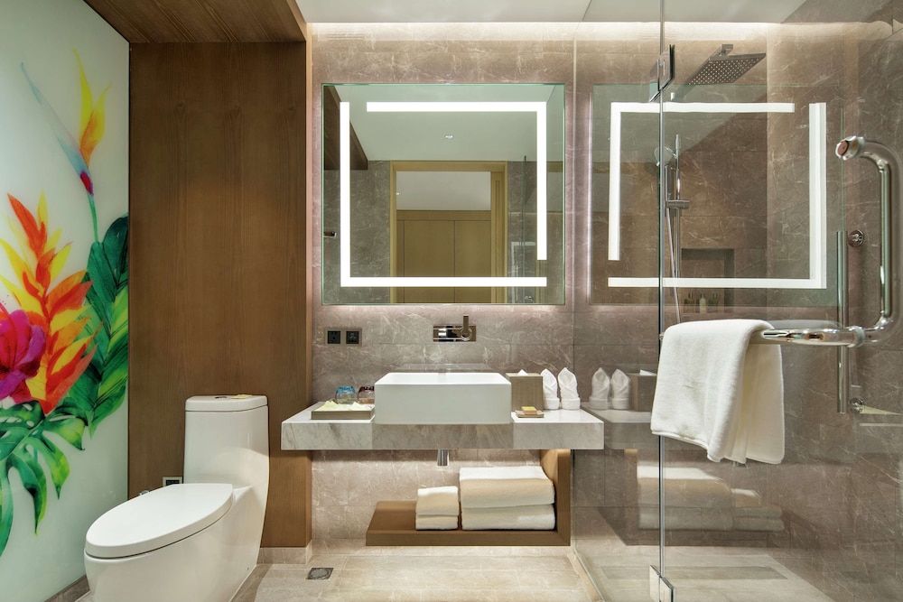 Hilton Garden Inn Sanya 19/43
