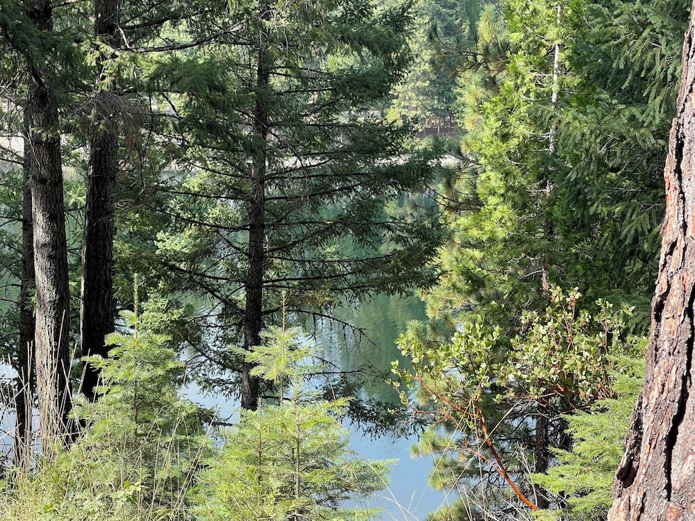 Mount Shasta Resort 58/63