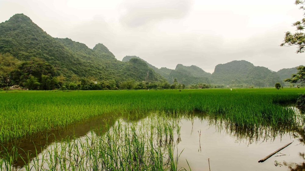 Ninh Binh Greenland Homestay 43/50