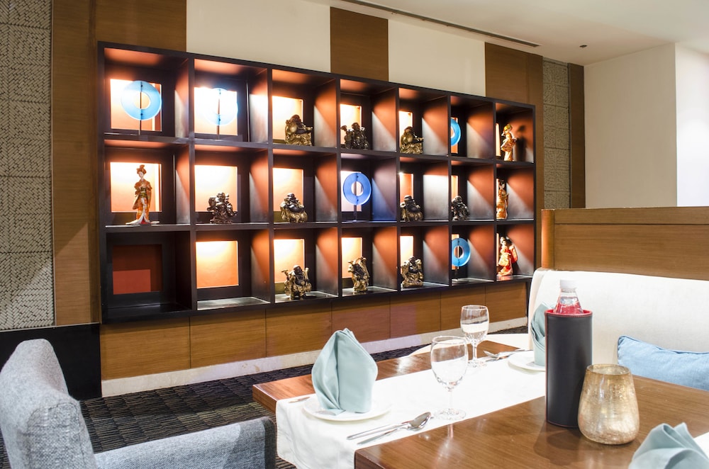 Radisson Blu Hotel Greater Noida 39/77