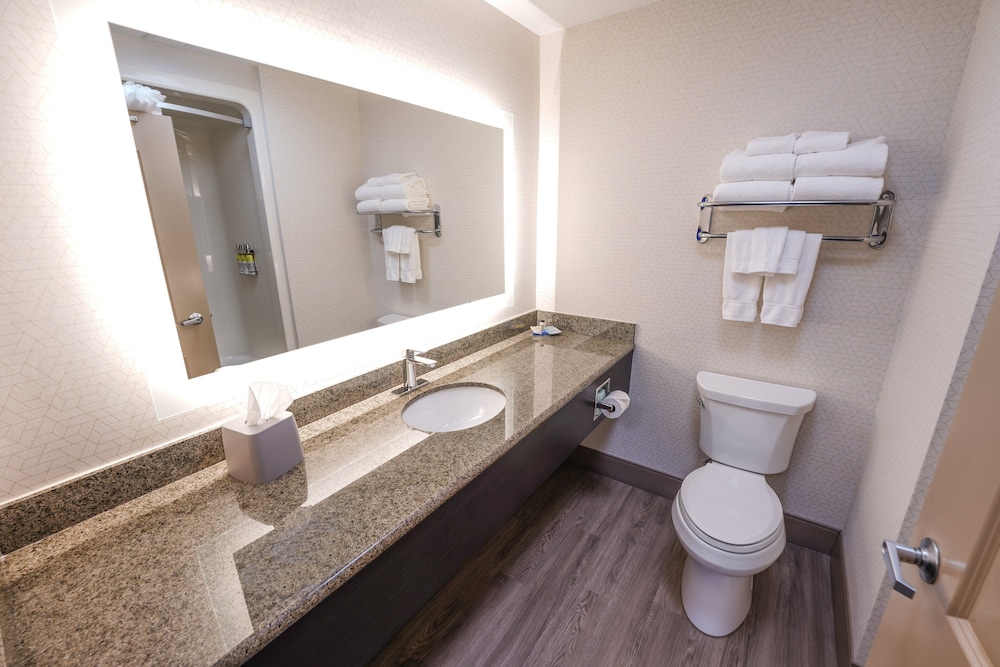 Holiday Inn Express Hotel And Suites Springfield Medical District 23/34