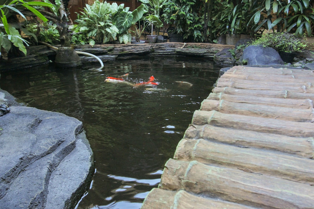 Duta Guest House 16/48