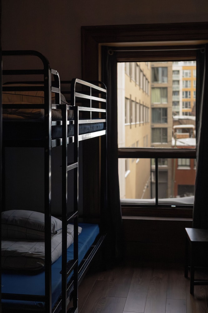 Treehouse Hostel 6/15
