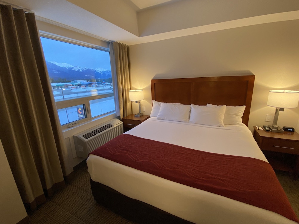 Efficiency, Suite, King Bed, Sofa