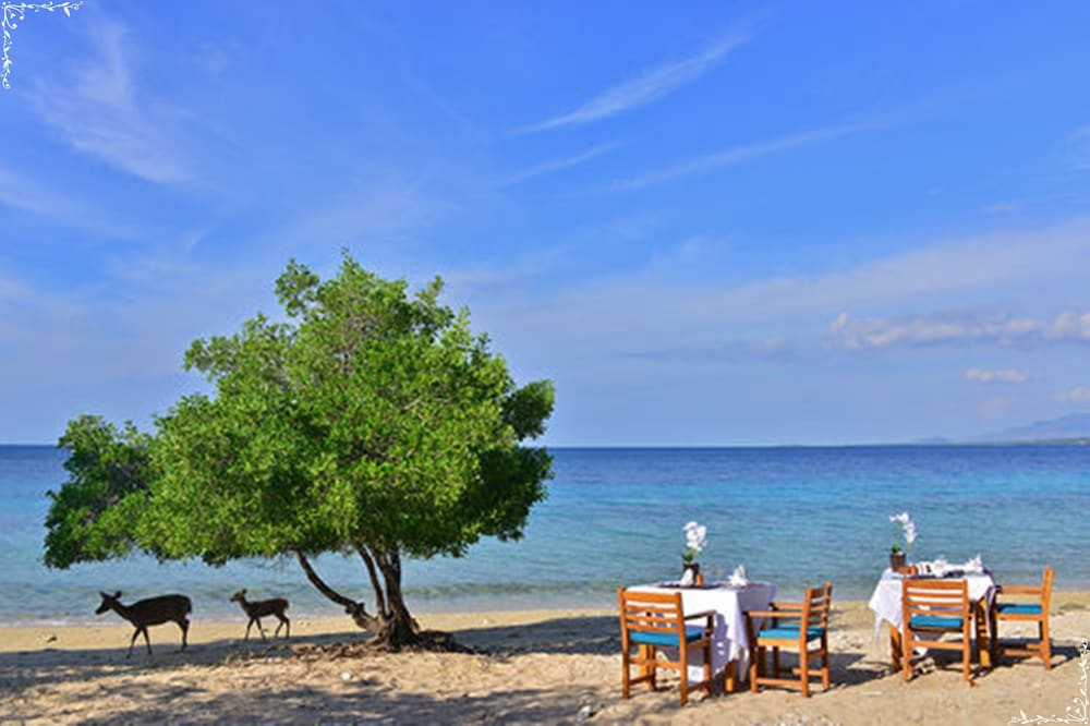 Nusa Bay Menjangan by WHM 41/58