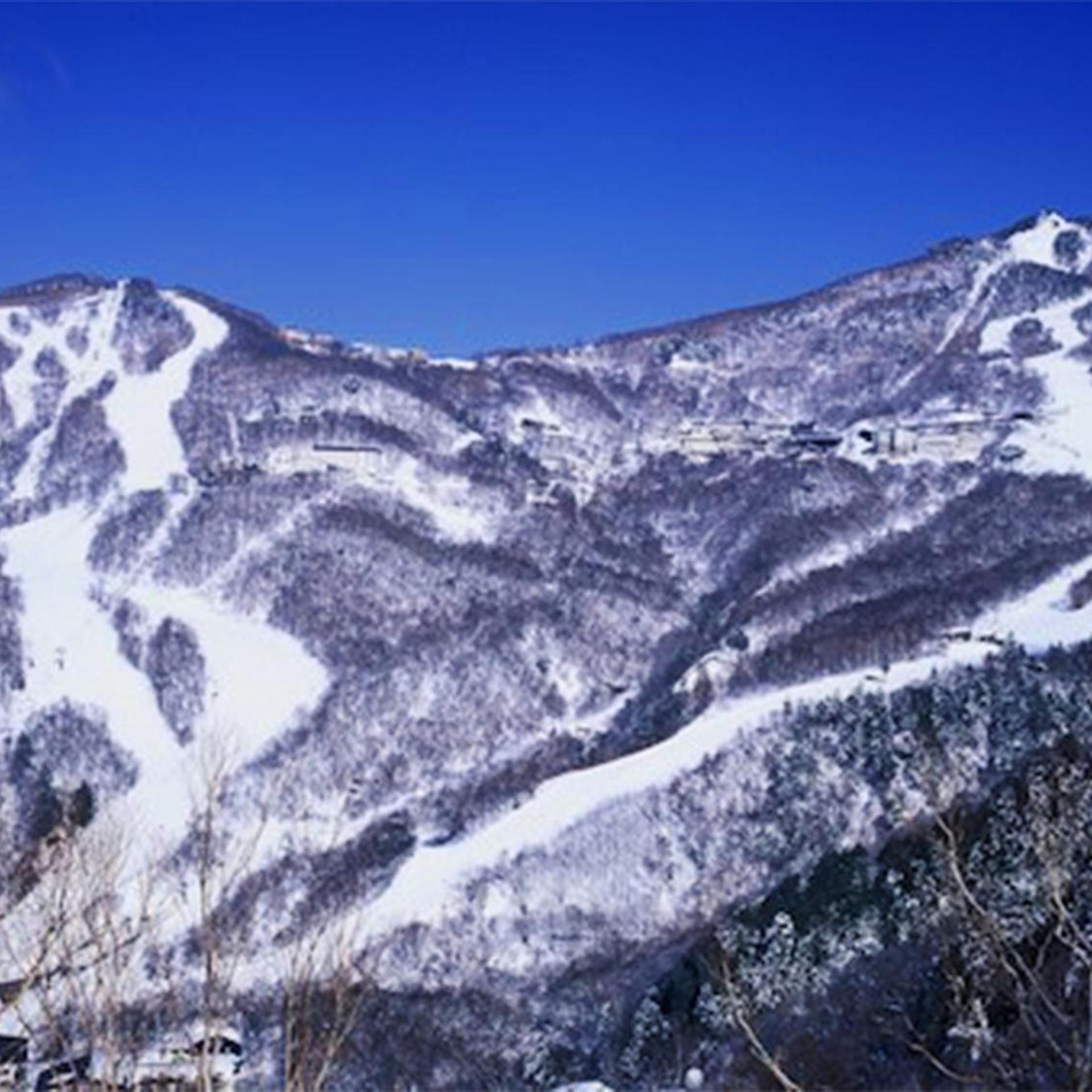 Shiga Swiss Inn 32/33