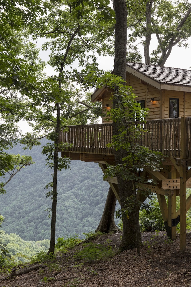 Primland 45/50