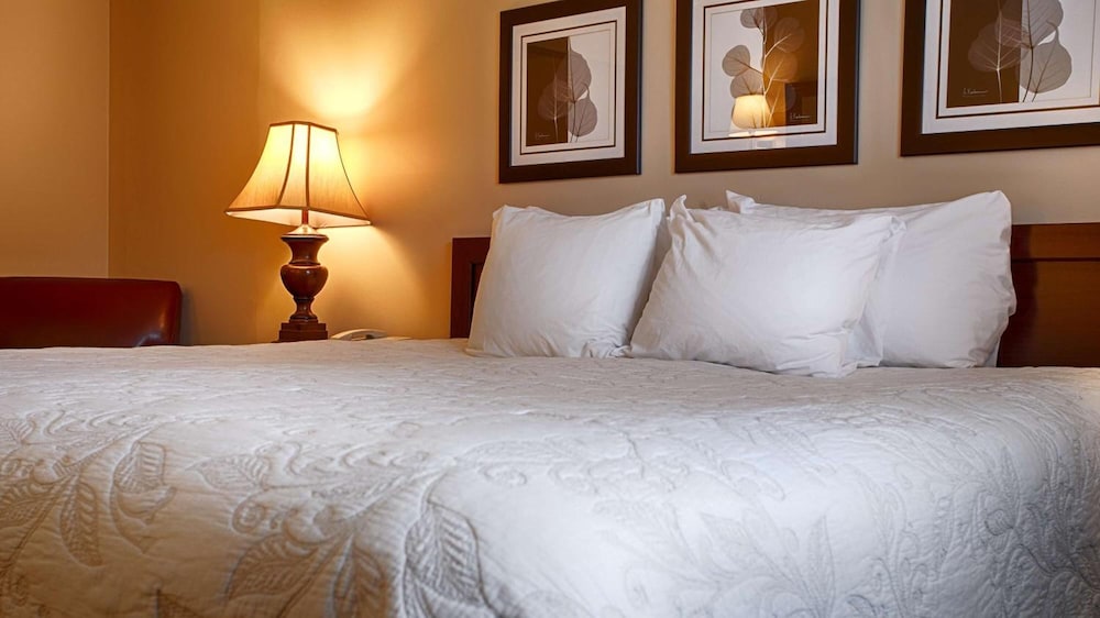 Best Western Silver Fox Inn 15/40