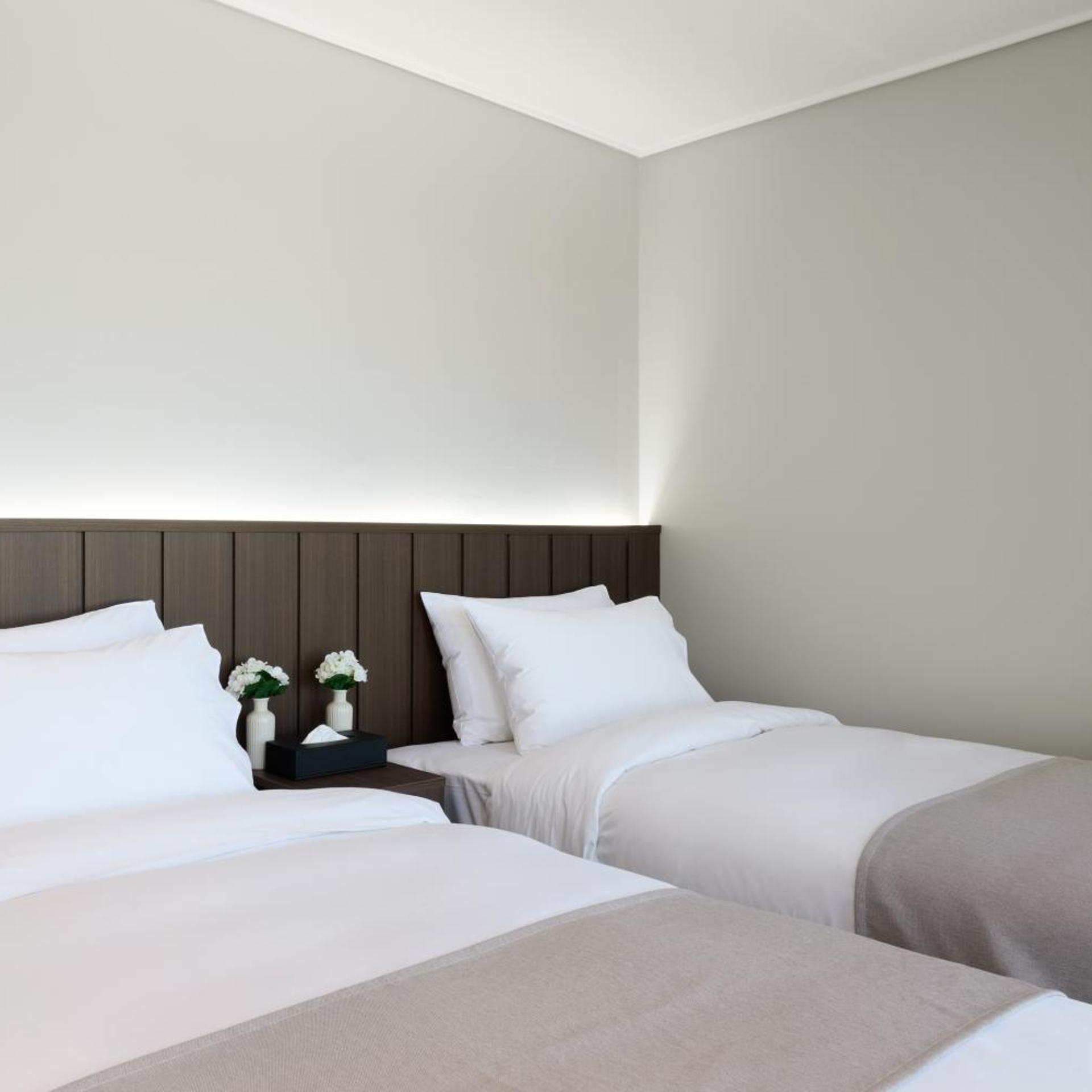 The Hotel Sokcho 33/51