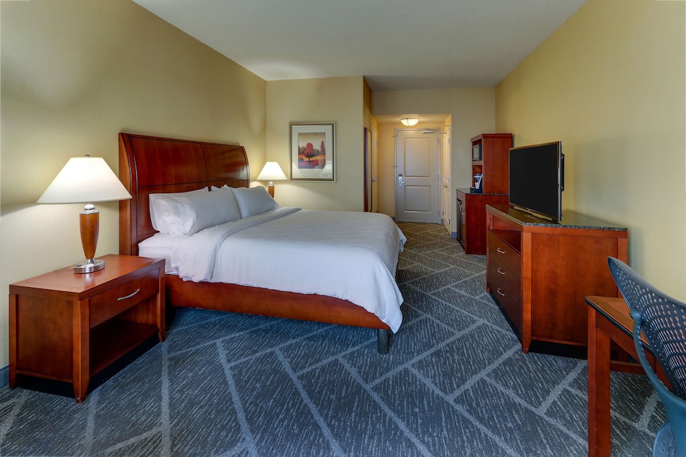 Hilton Garden Inn Indianapolis Airport 17/66