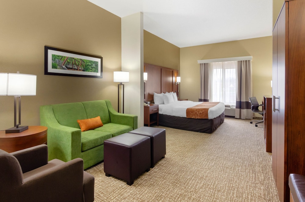 Comfort Suites Abingdon 22/40