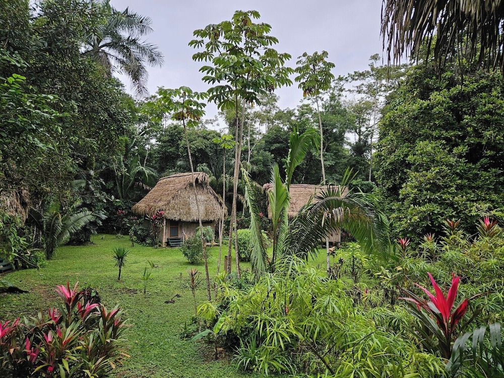 surroundings