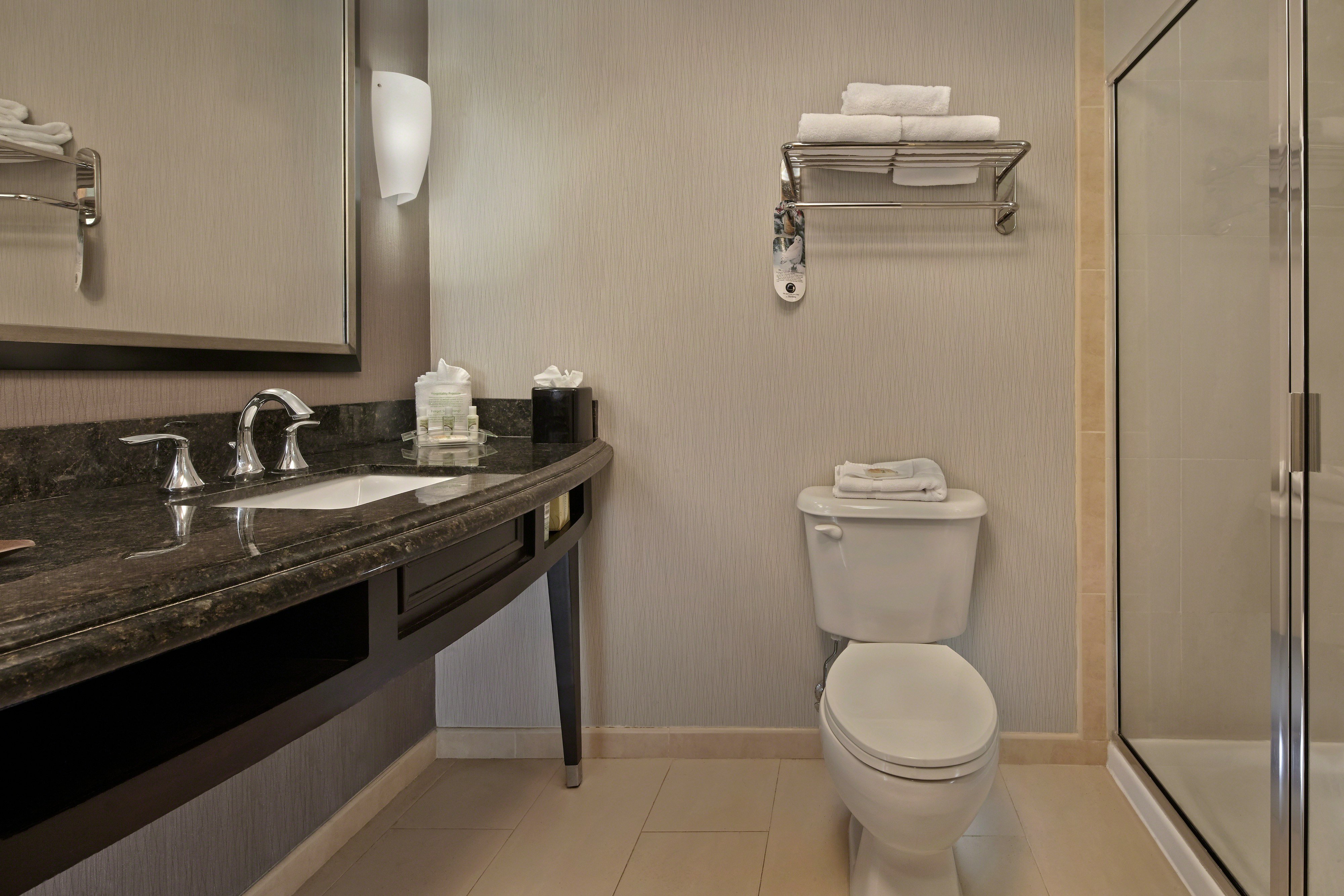 Leisure, King Bed، Holiday Inn Jacksonville E 295 Baymeadows 4/5
