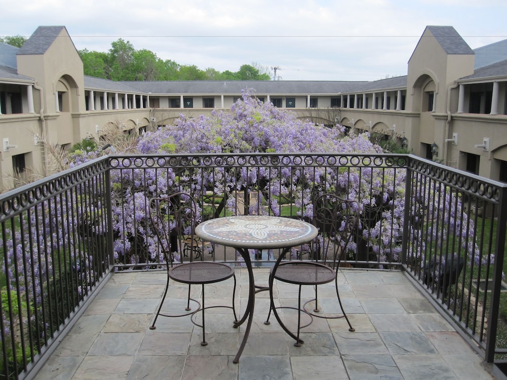 Vineyard Court Designer Suites Hotel 46/56