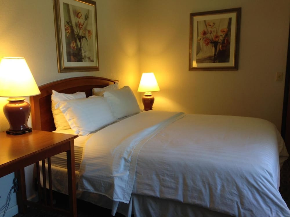 Hotel Buena Vista 15/55