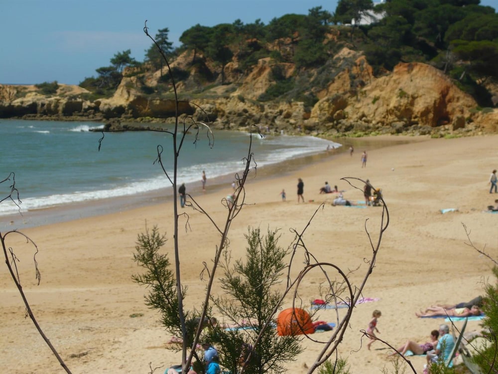 Agua Marinha - Adults Only 30/41