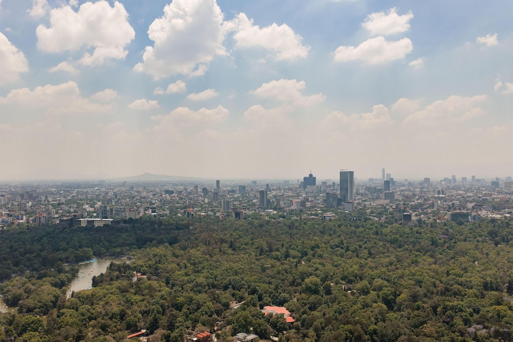 Hyatt Regency Mexico City 47/50