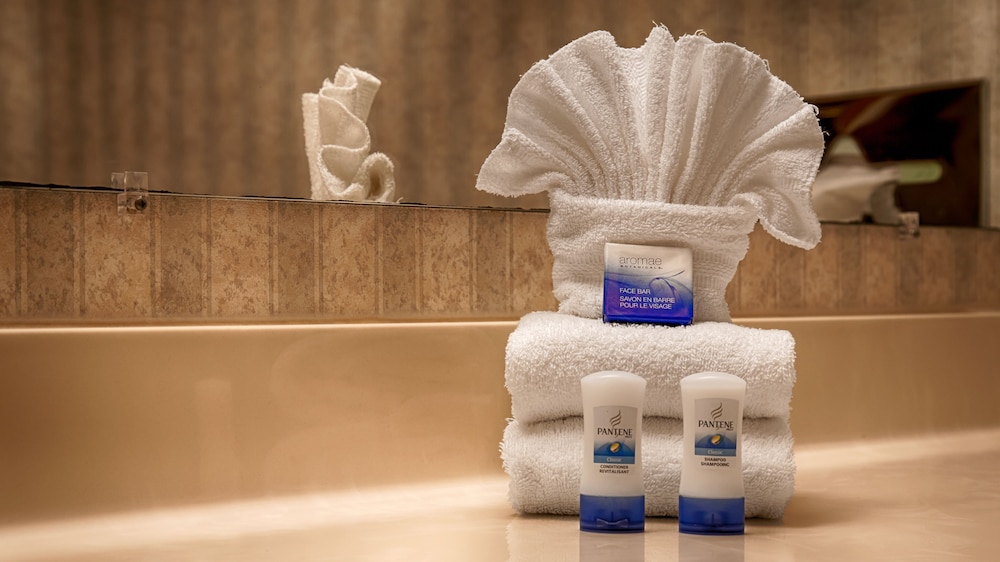 Best Western Plus Rama Inn & Suites 11/34