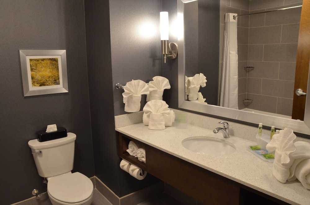 Holiday Inn Express Hotel And Suites Albany 67/67