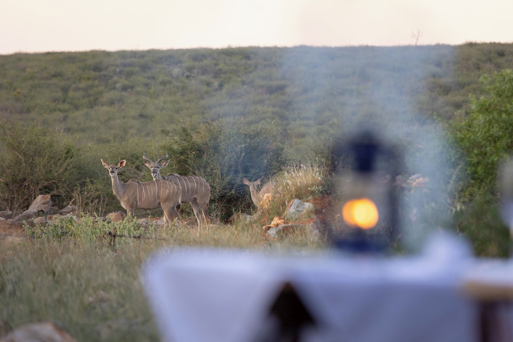 Rhulani Safari Lodge 69/76