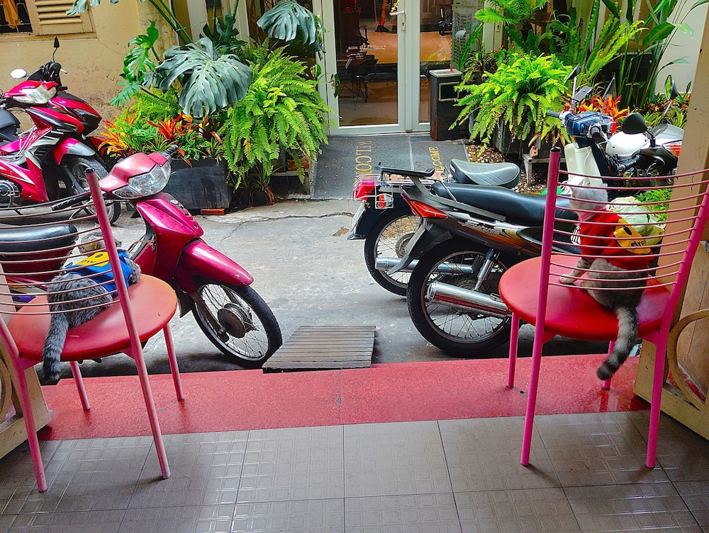 Sakura Hostel Saigon 79/85
