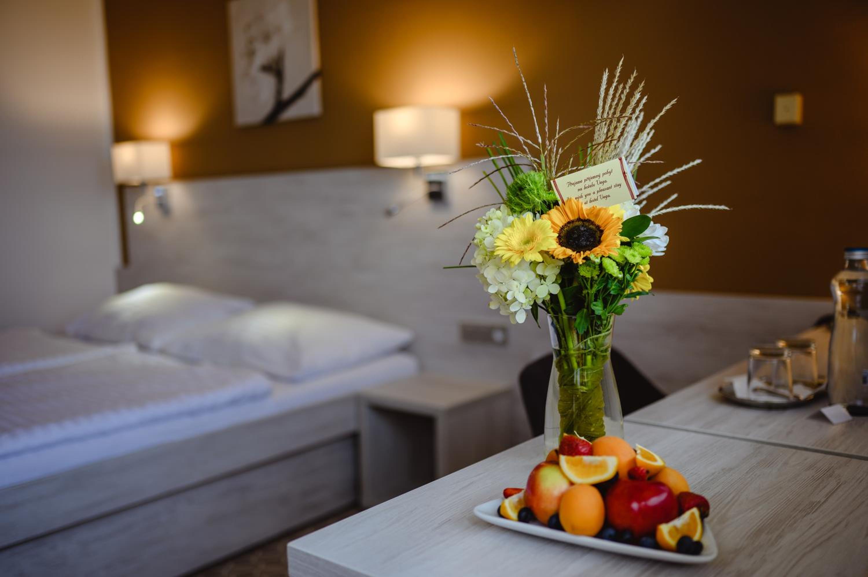 Hotel Vega Luhacovice 41/58