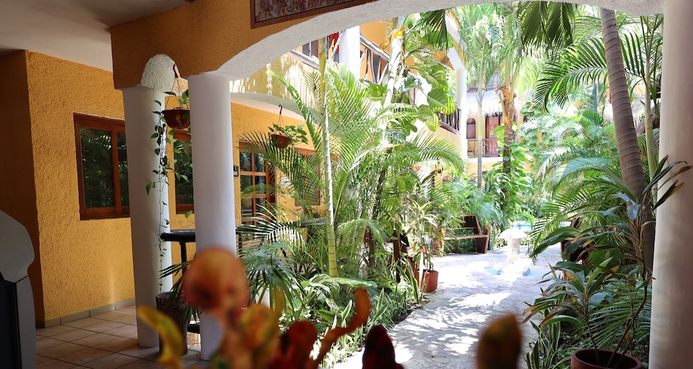 Playalingua Del Caribe 8/50