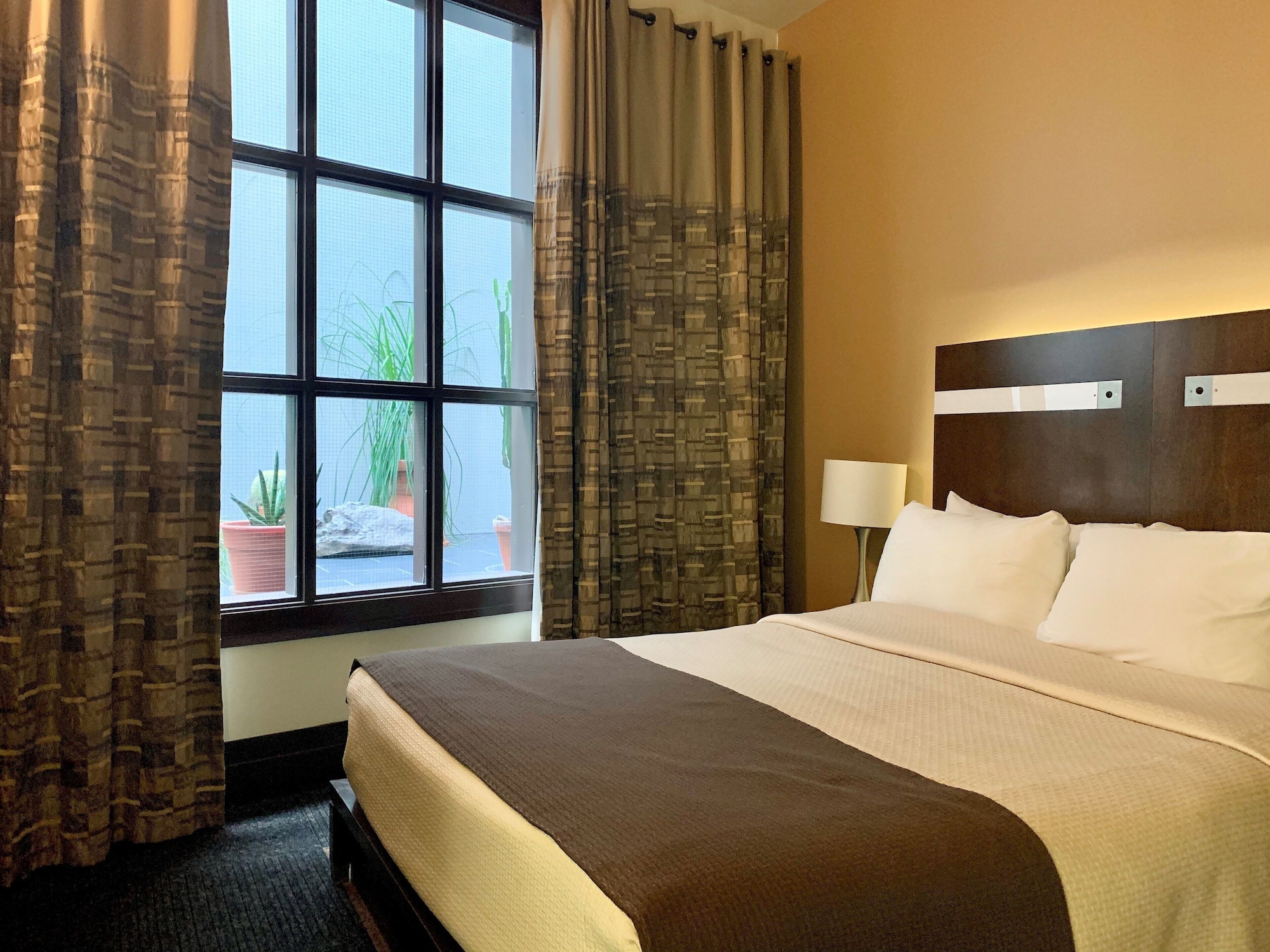 CLASSIC, QUEEN BED, COURTYARD AREA