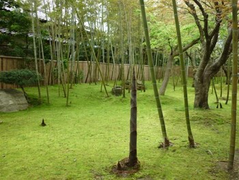 Livemax Resort Yuhigaura Kitu Onsen 46/50