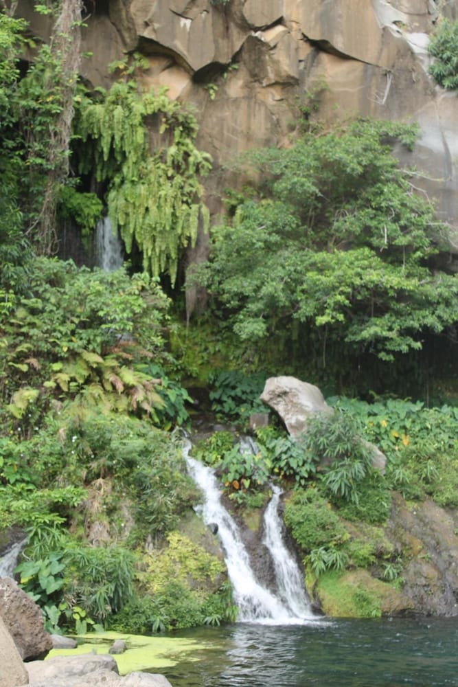 Les Creoles Hotel 43/50