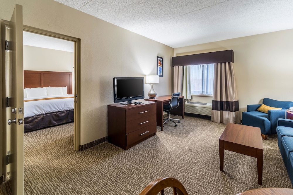 Comfort Inn Festus-St. Louis South 25/39
