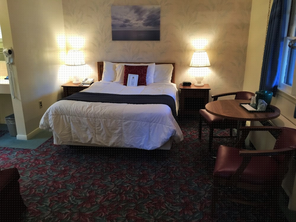 Cedar Motor Inn 24/56