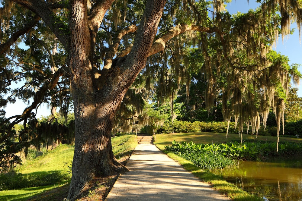 The Inn At Middleton Place 56/62
