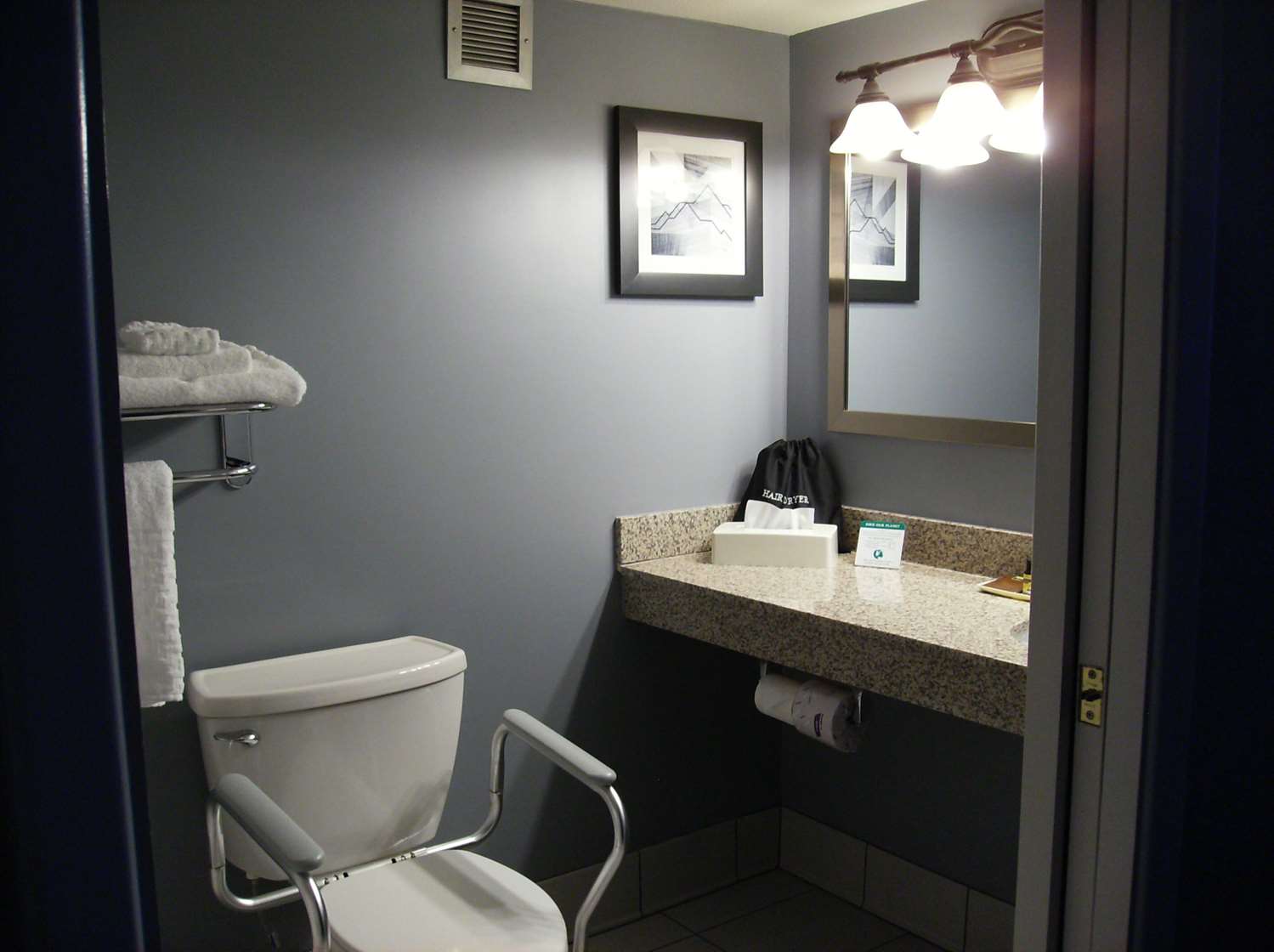 Room, King Bed, Accessible
