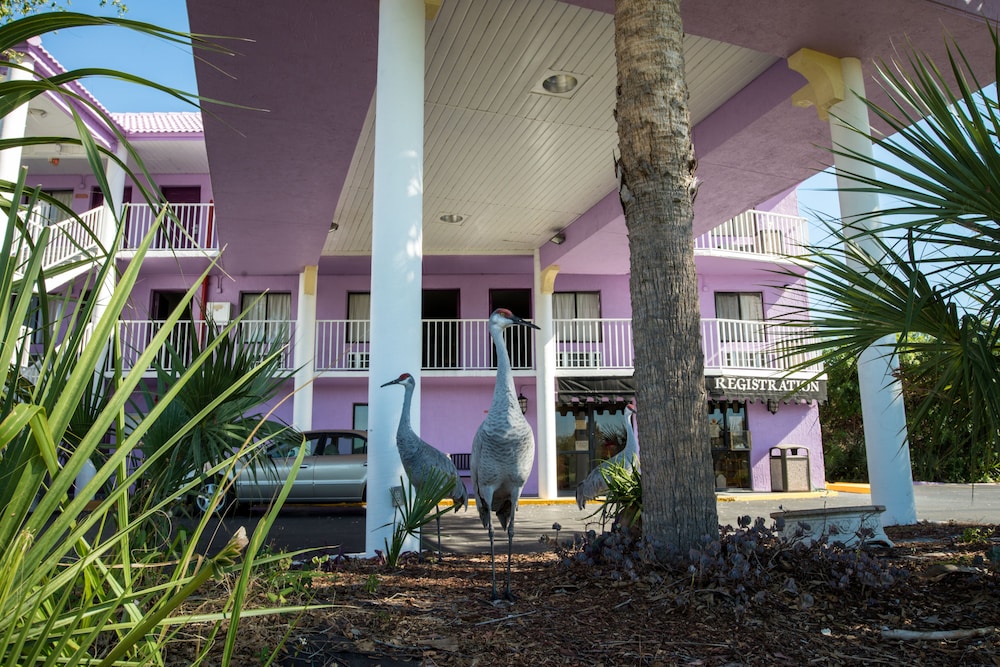 Howard Johnson by Wyndham Orlando Lake Buena Vista South 41/47