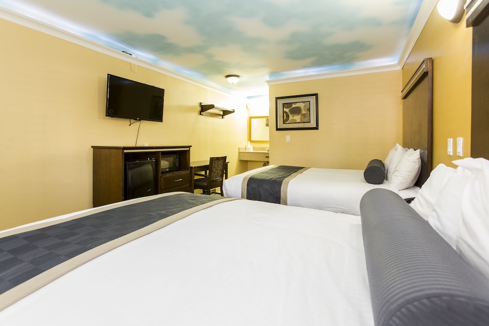 Hollywood Palms Inns & Suites 21/56