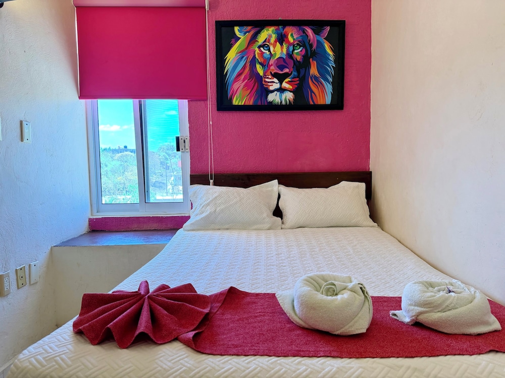 Barranquilla Hotel 17/66