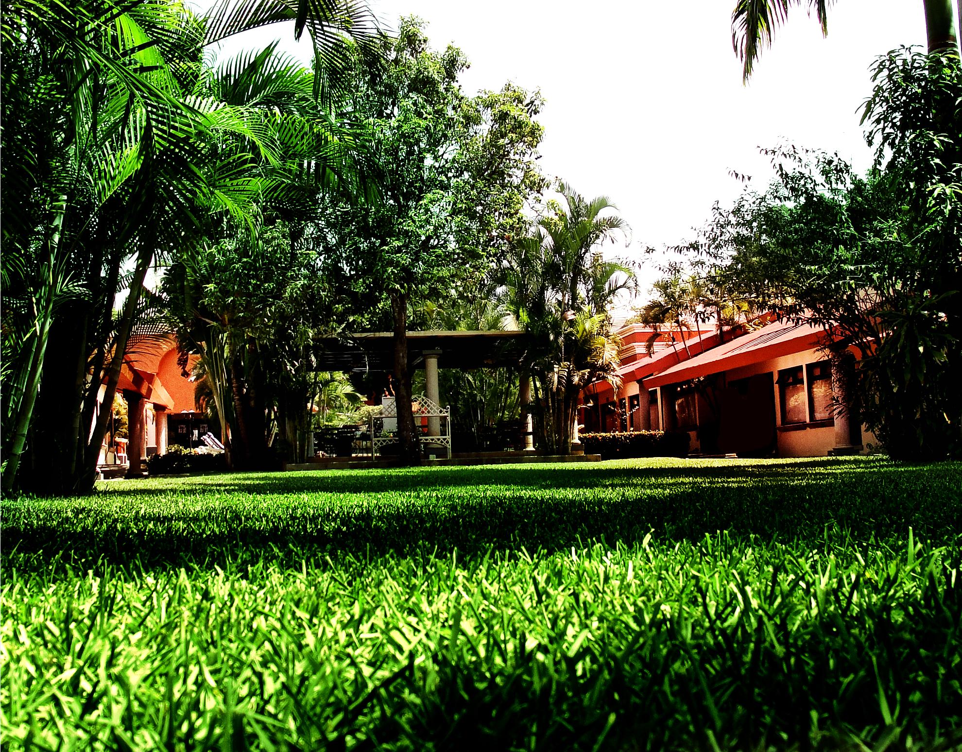 Palmareca Inn Suites Studios Ex Best Western Palmareca 51/57