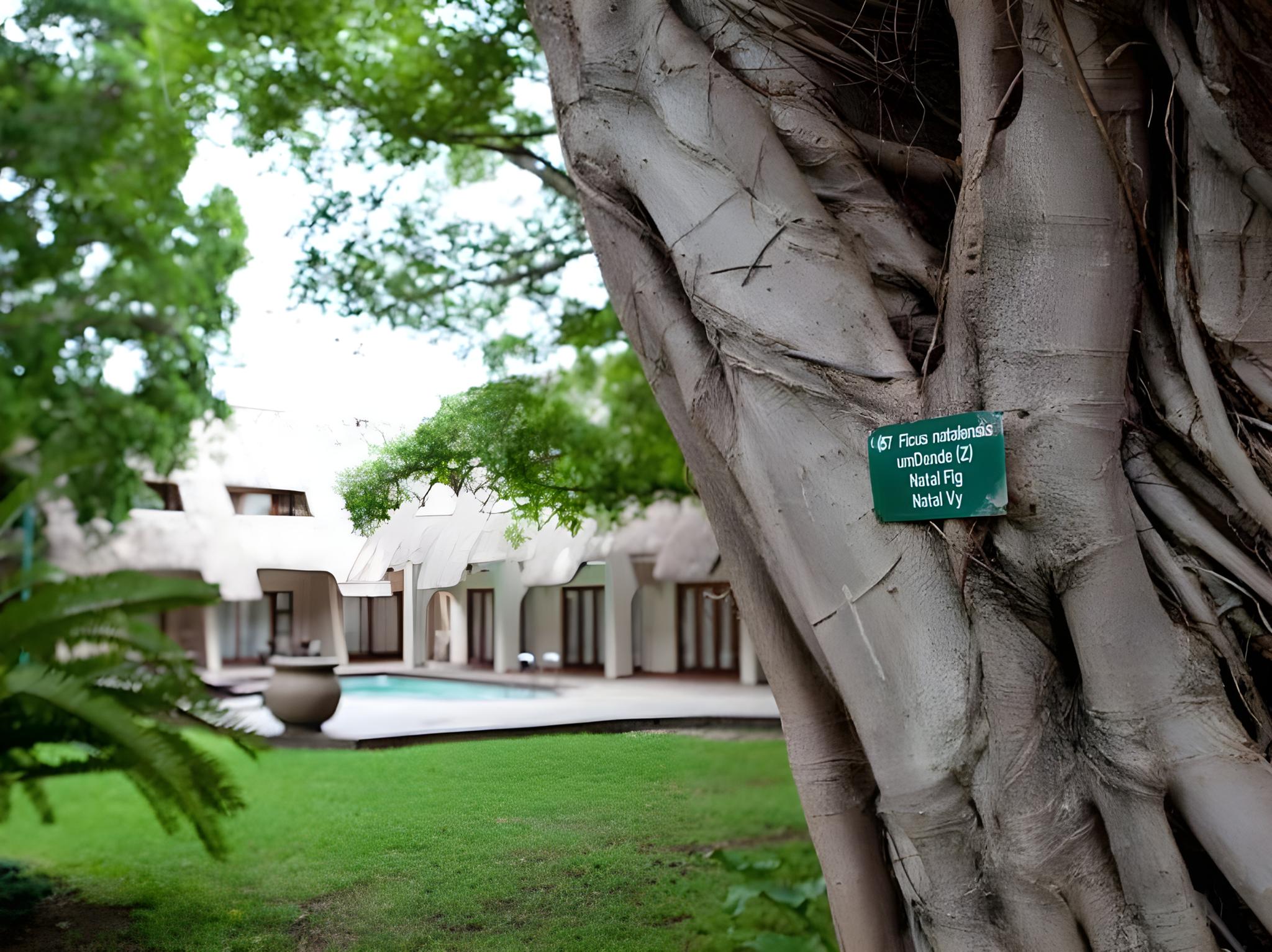 Pongola Country Lodge 22/22