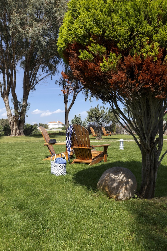 Eco Beach And Magic Garden 41/50