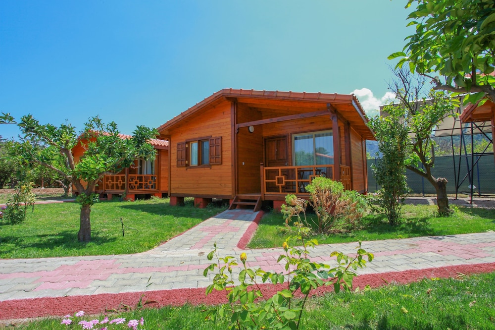 Baris Pension & Bungalows酒店(Baris Pension & Bungalows) 图片4
