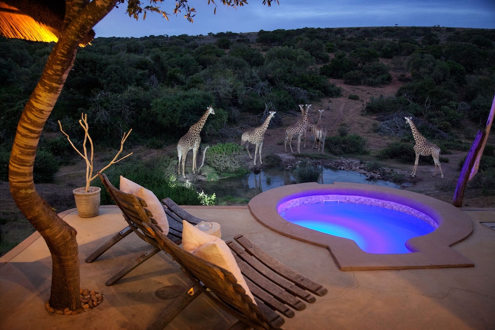 Amakhala Safari Lodge 17/50