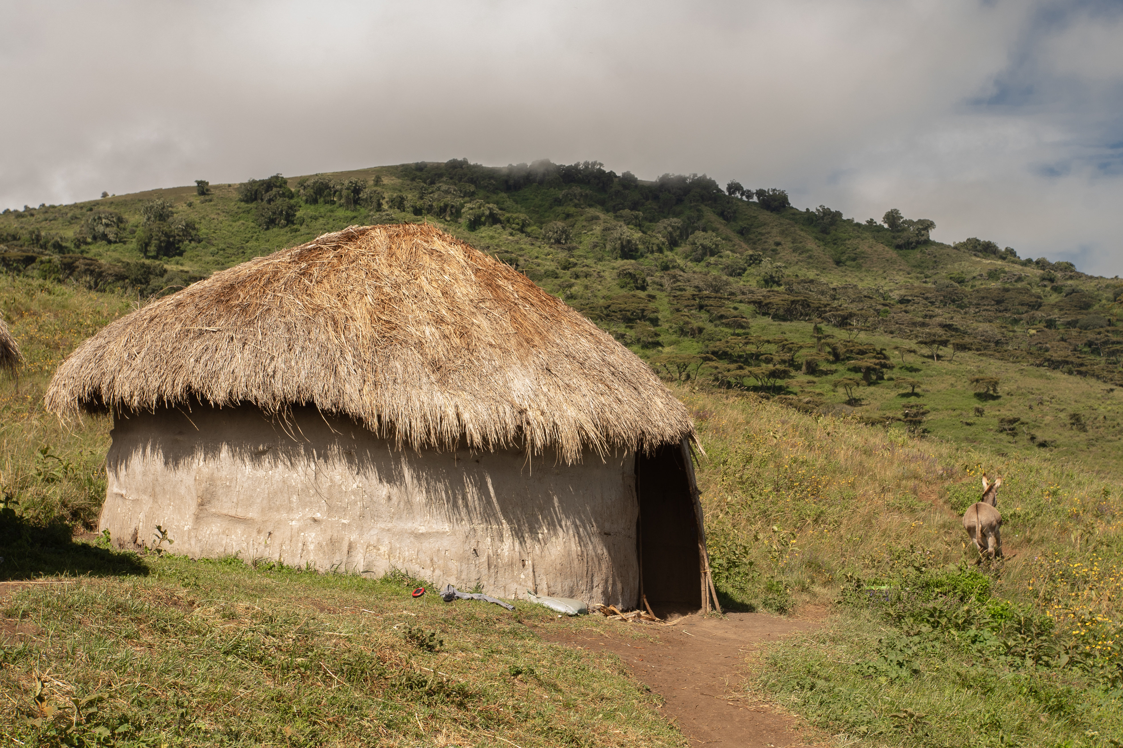Ngorongoro Lodge member of Melia Collection 46/57