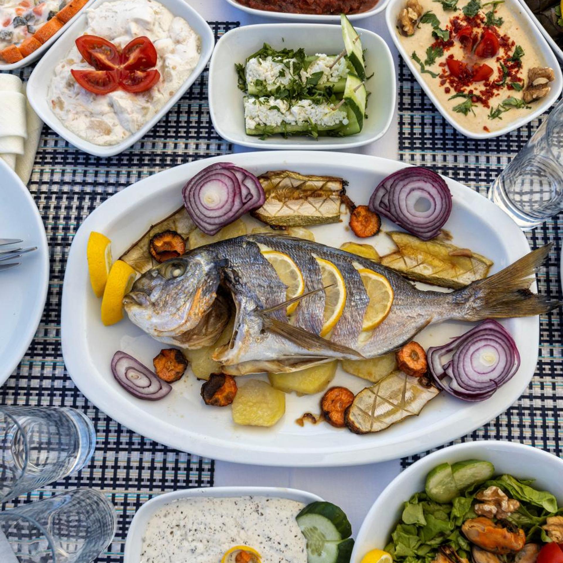 Hola Bodrum 19/32