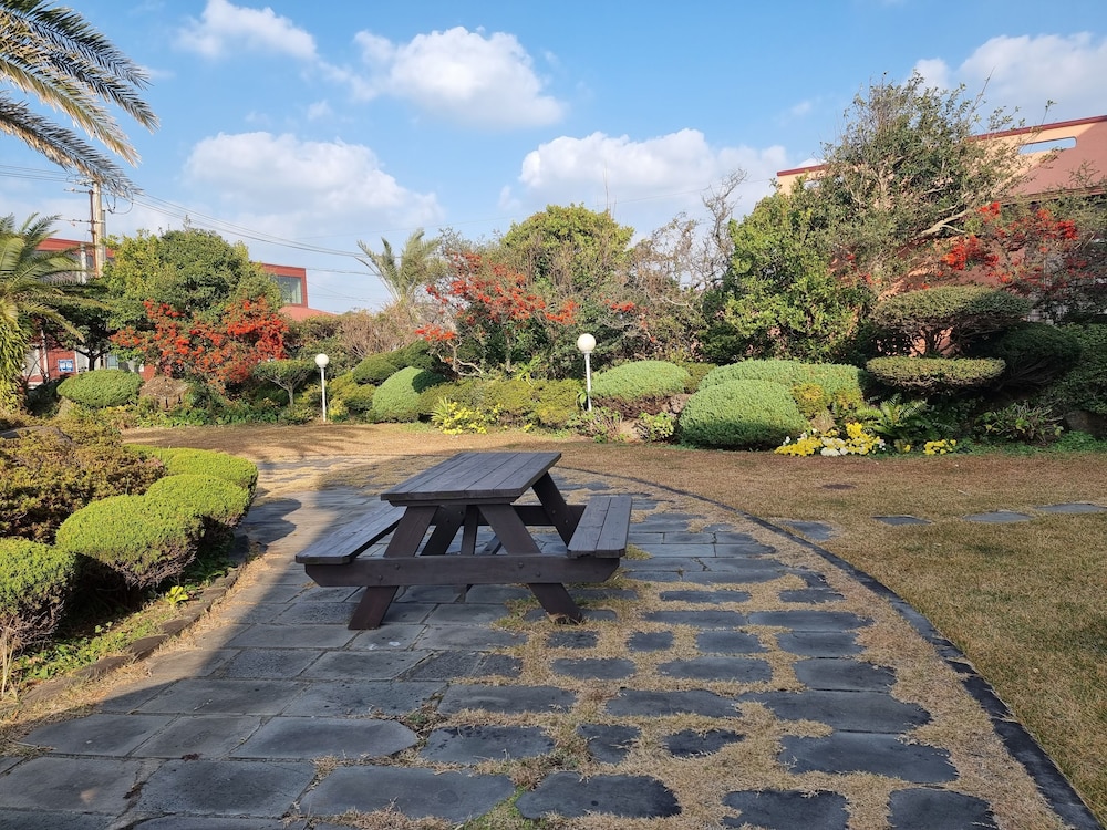 Jeju Again Olle Pension 32/34