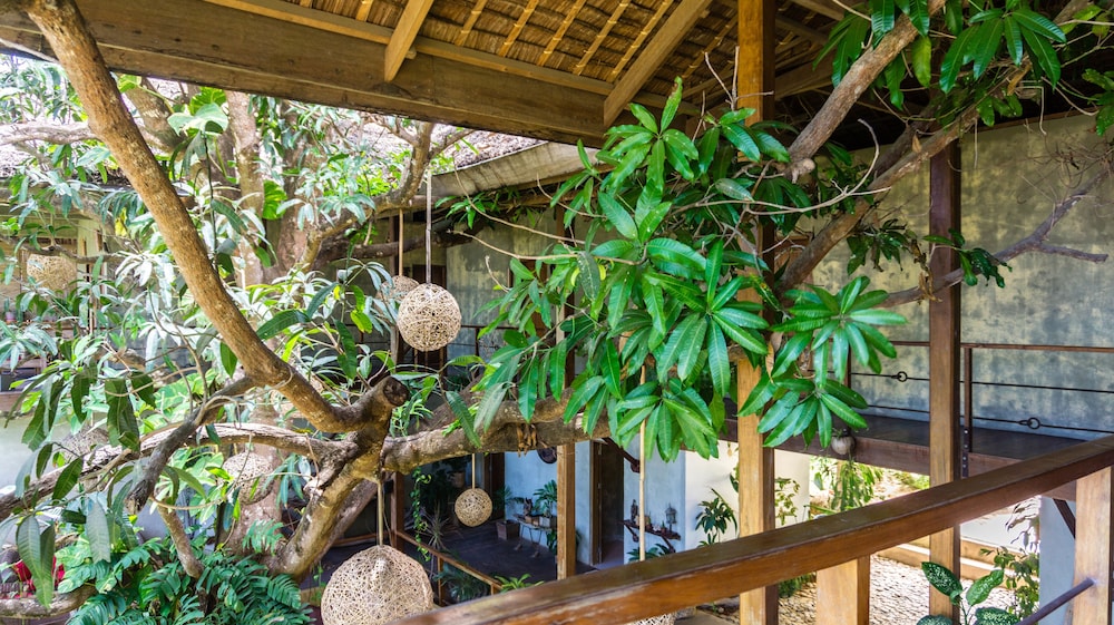 Bluemango Rooms & Villas 48/50